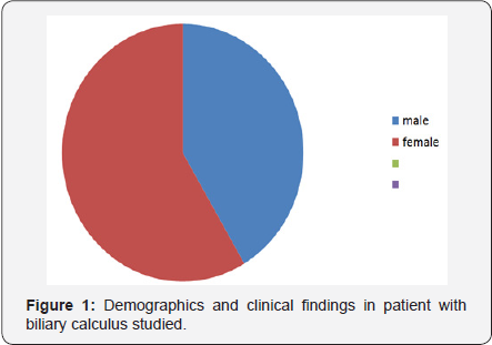 Click here to view Large Figure 1