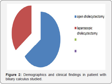 Click here to view Large Figure 2