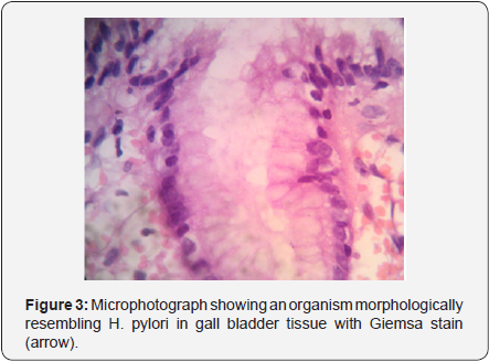 Click here to view Large Figure 3