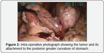 Click here to view Large Figure 2