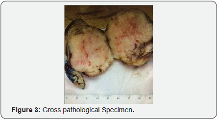 Click here to view Large Figure 3