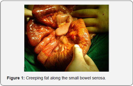 Click here to view Large Figure 2