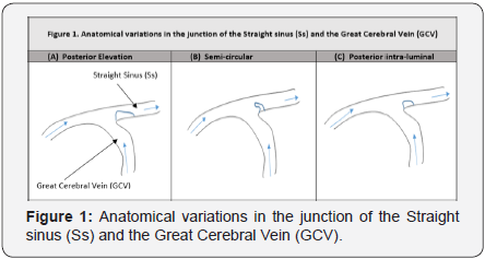 Click here to view Large Figure 1