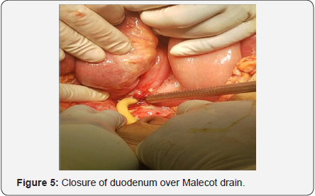 Click here to view Large Figure 5