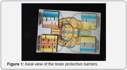 Click here to view Large image 1