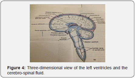 Click here to view Large image 4