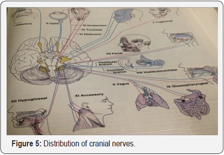 Click here to view Large image 5