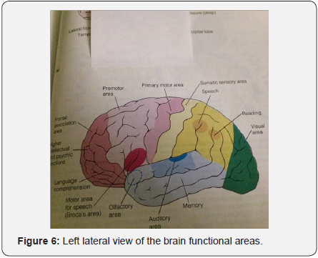 Click here to view Large image 6