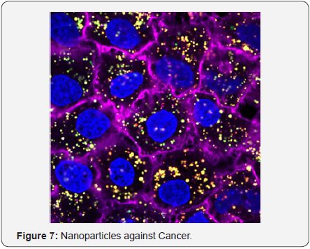 Click here to view Large image 7