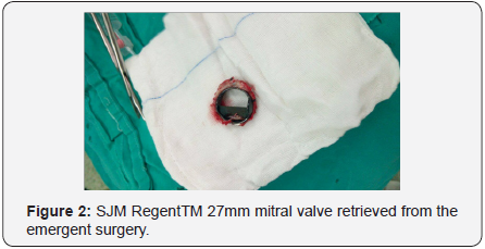 Click here to view Large image 2