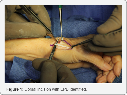 Click here to view Large Figure 1