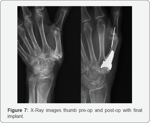 Click here to view Large Figure 8