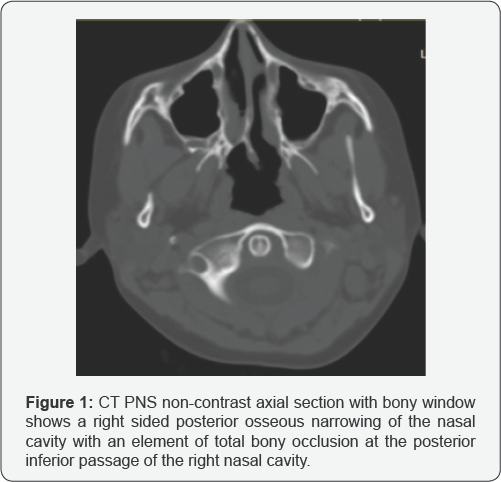 Click here to view Large Figure 1