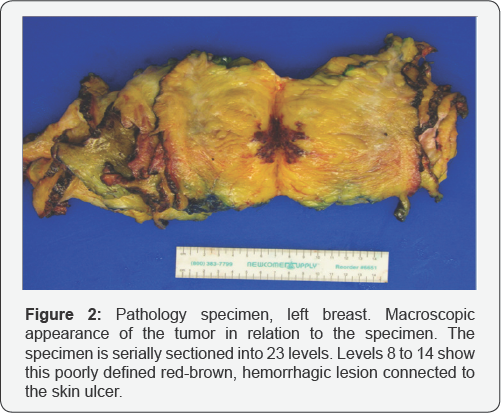 Click here to view Large Figure 2
