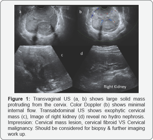 Click here to view Large Figure 1