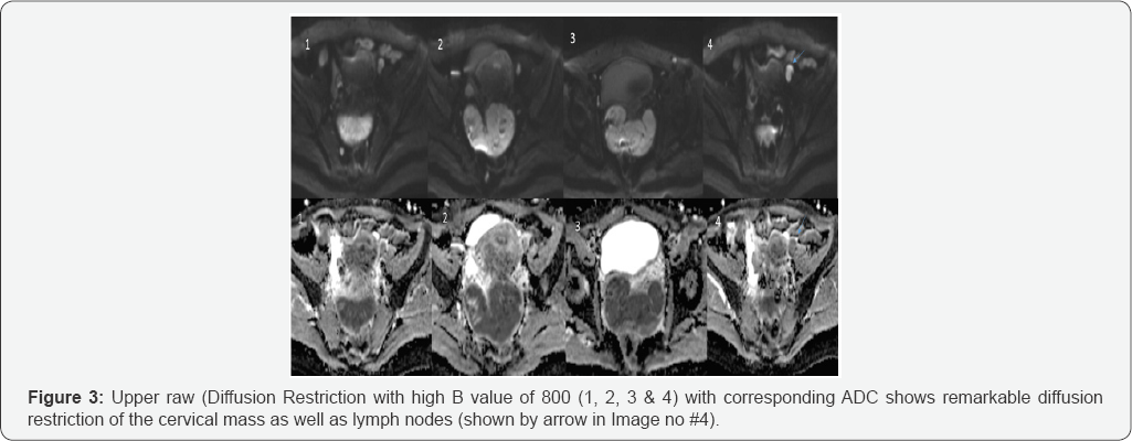 Click here to view Large Figure 3
