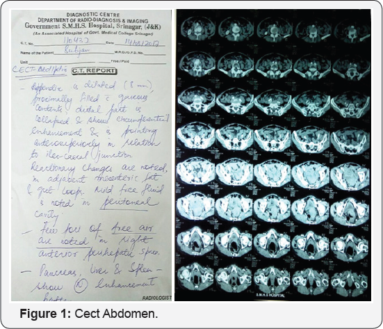 Click here to view Large Figure 1