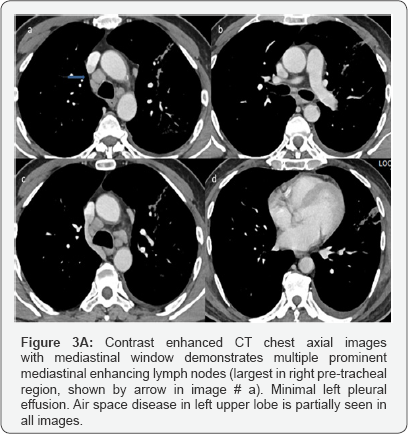 Click here to view Large Figure 3a