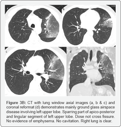 Click here to view Large Figure 3b