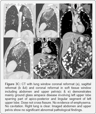 Click here to view Large Figure 3c