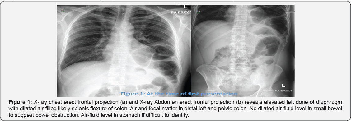 Click here to view Large Figure 1