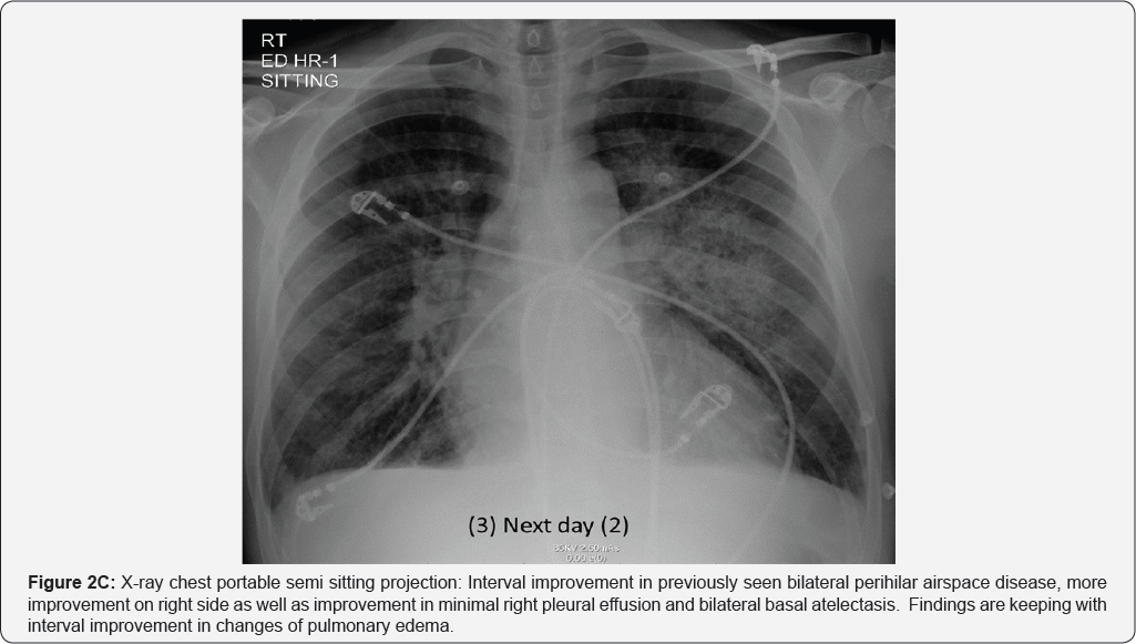 Click here to view Large Figure 2