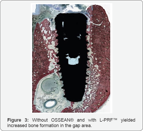 Click here to view Large Figure 3