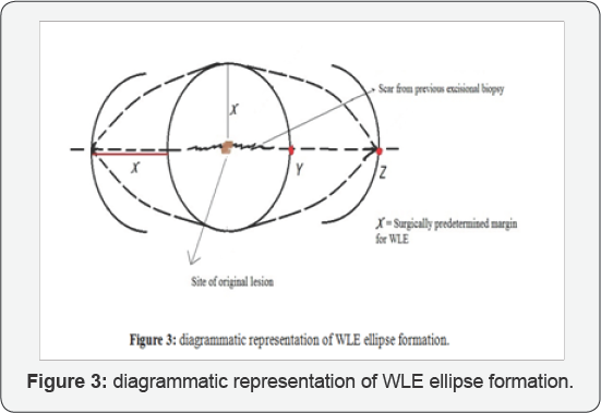 Click here to view Large Figure 3