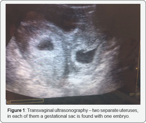 Click here to view Large Figure 1