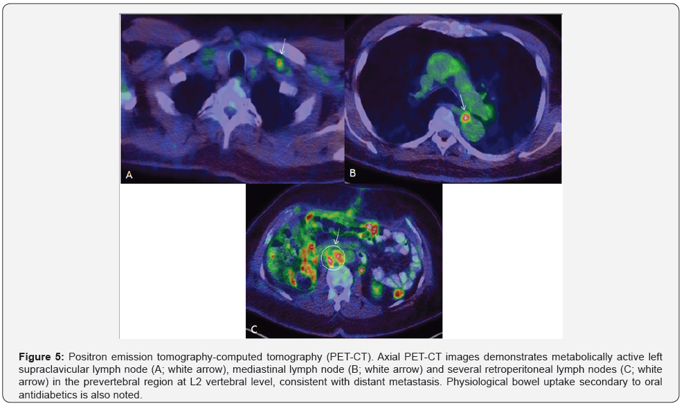 Click here to view Large Figure 5