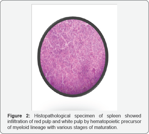 Click here to view Large Figure 2