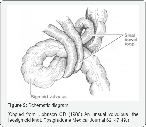 Click here to view Large Figure 1