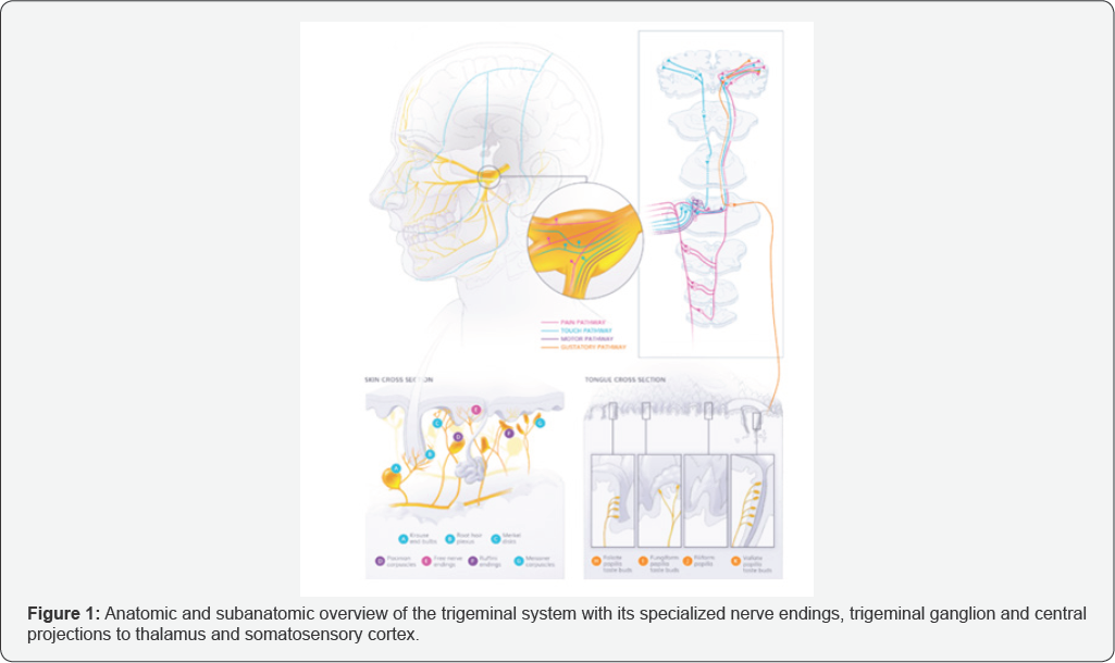 Click here to view Large Figure 1