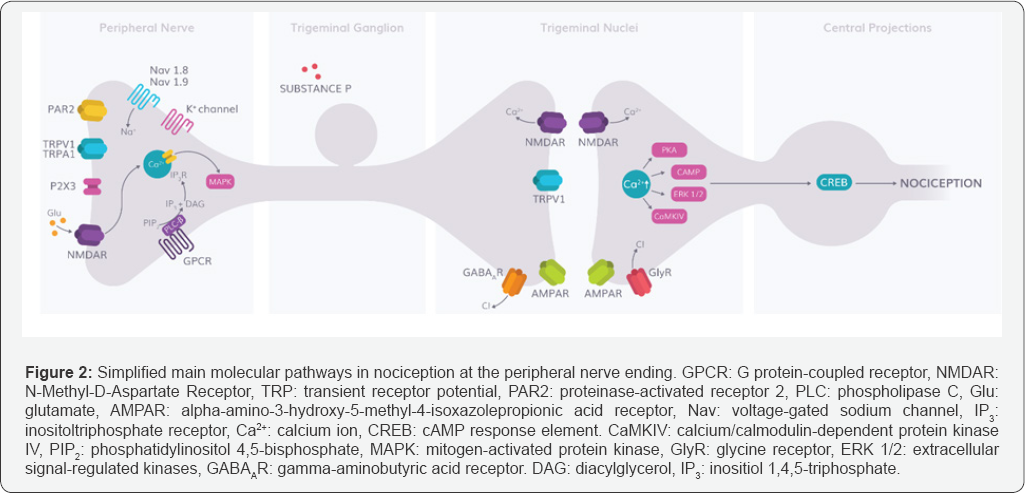 Click here to view Large Figure 2
