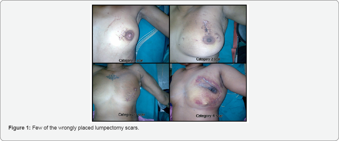 Click here to view Large Figure 1