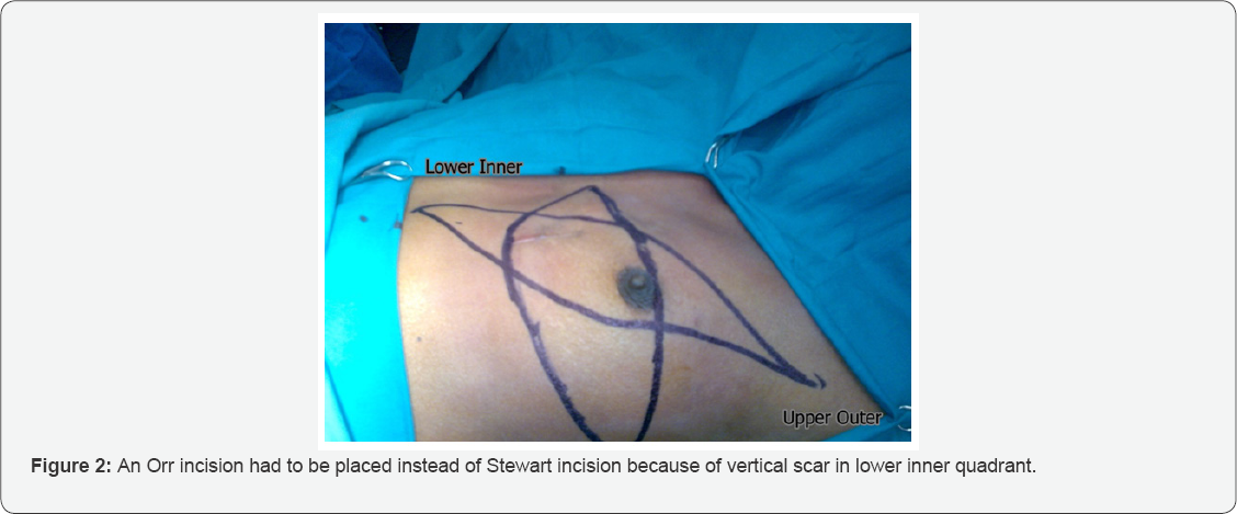 Click here to view Large Figure 1