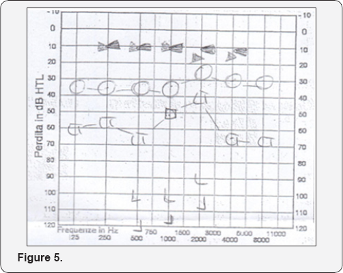 Click here to view Large Figure 5
