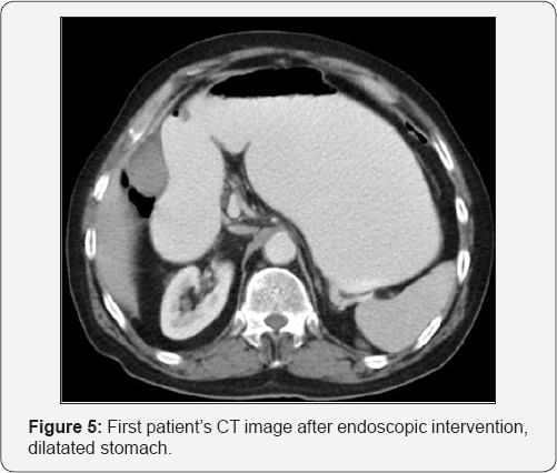 Click here to view Large Figure 5