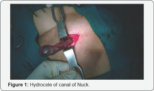 Click here to view Large Figure 1