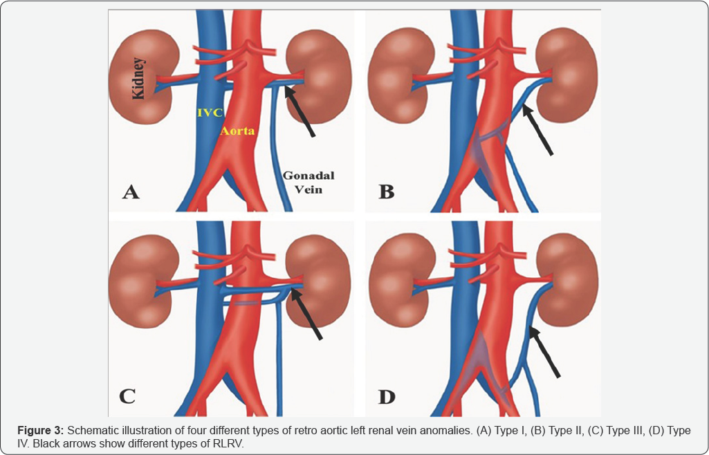 Click here to view Large Figure 3