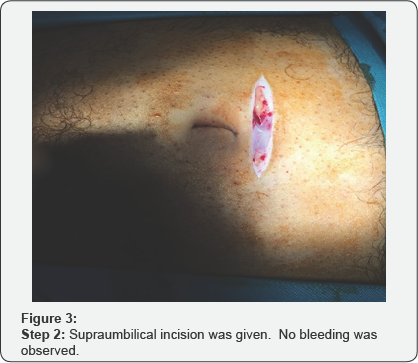 Click here to view Large Figure 3