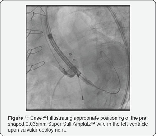 Click here to view Large Figure 1