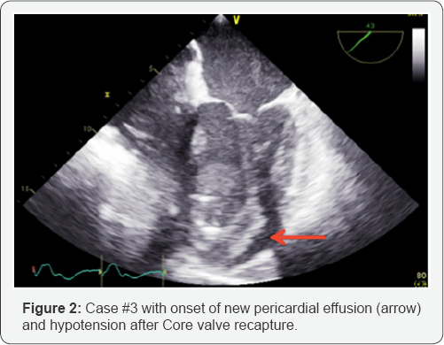 Click here to view Large Figure 1