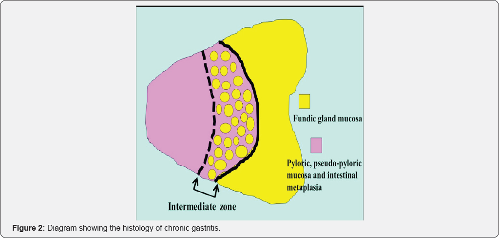 Click here to view Large Figure 2