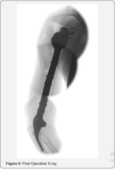 Click here to view Large Figure 6