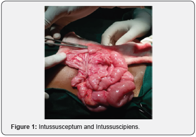 Click here to view Large Figure 1