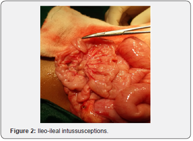 Click here to view Large Figure 2