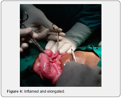 Click here to view Large Figure 4