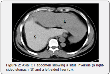 Click here to view Large Figure 2