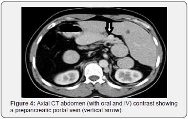 Click here to view Large Figure 4